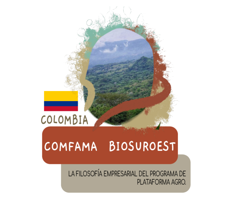 Ponente 15