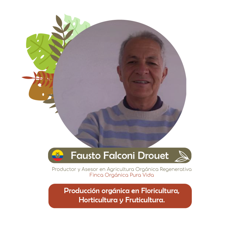 Fausto
